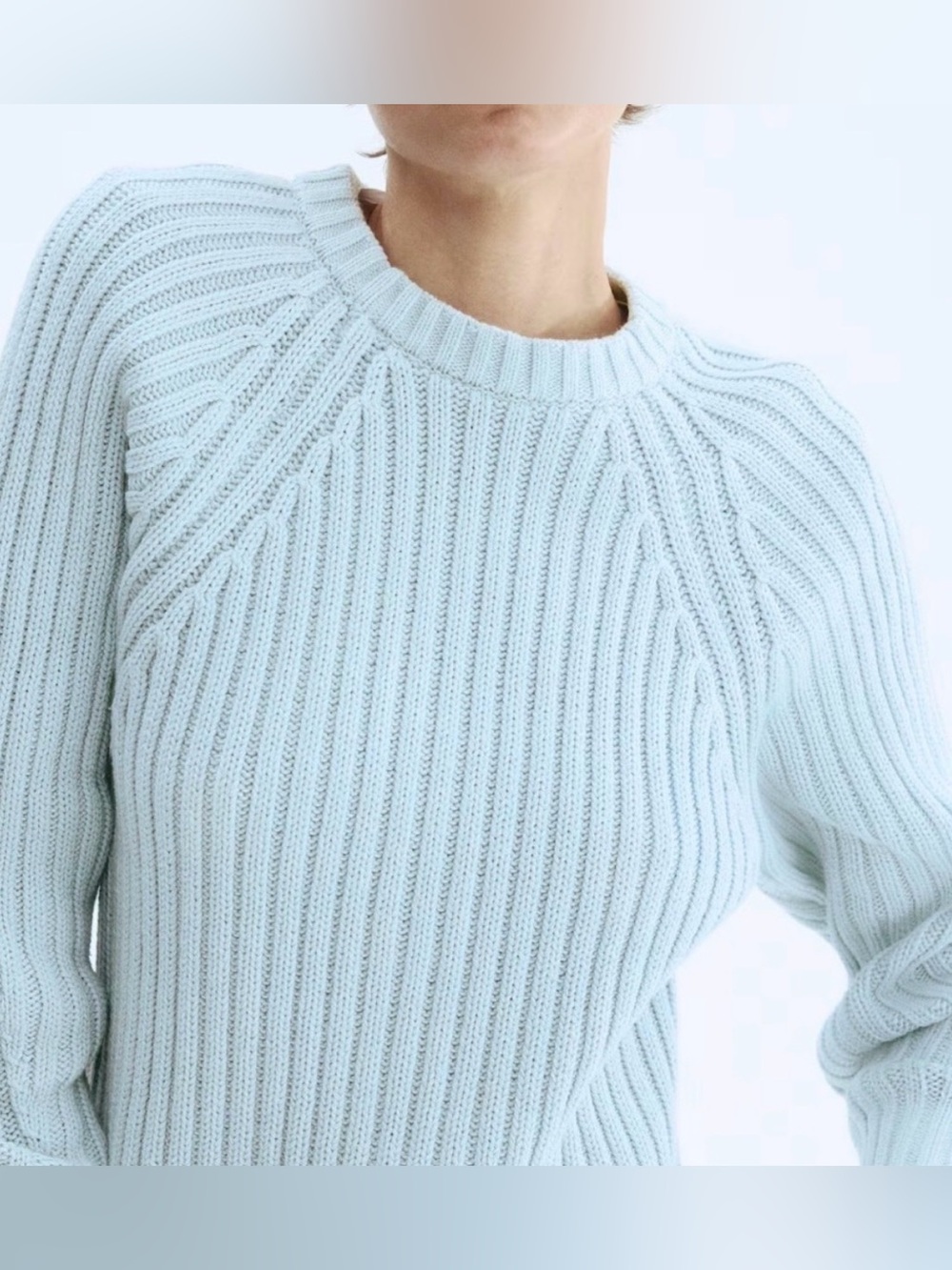 NWT H&M Pale Blue Crewneck Sweater